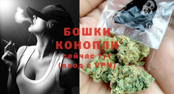 трава Аркадак