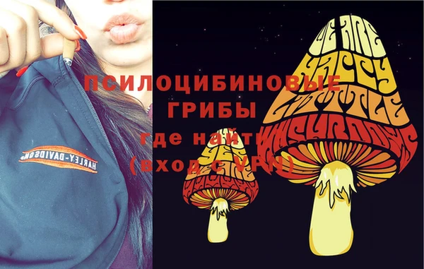 ГАЛЛЮЦИНОГЕННЫЕ ГРИБЫ Алексеевка