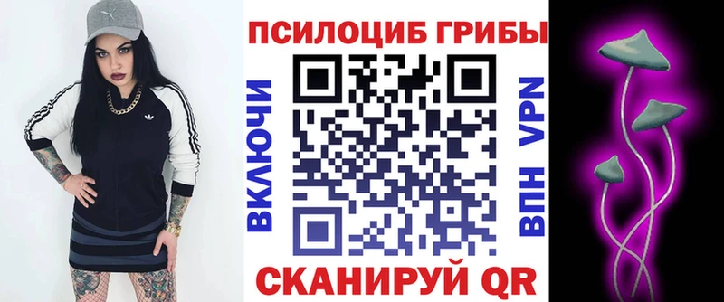 наркота  Петропавловск-Камчатский  Галлюциногенные грибы Psilocybine cubensis 